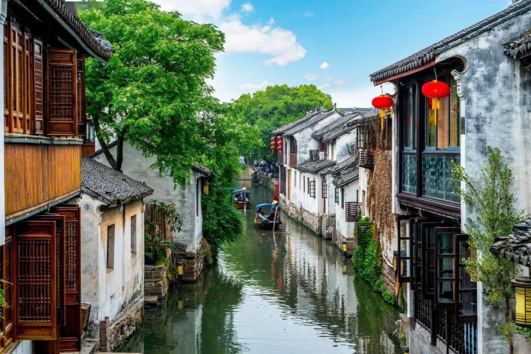 凉拌枸杞尖怎么做好吃